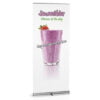 RollUp Banner Expand Promo RollUp